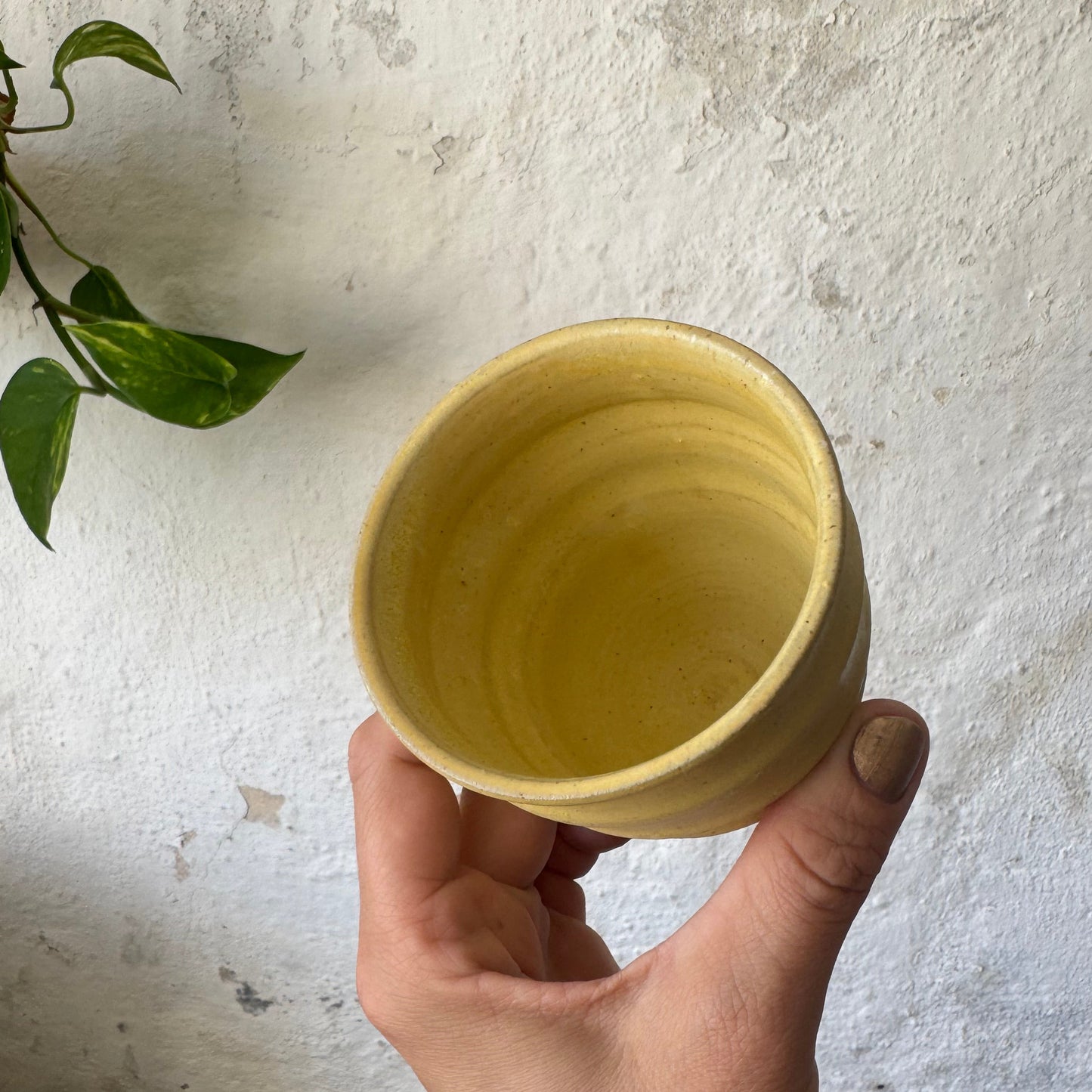 Ripple cup