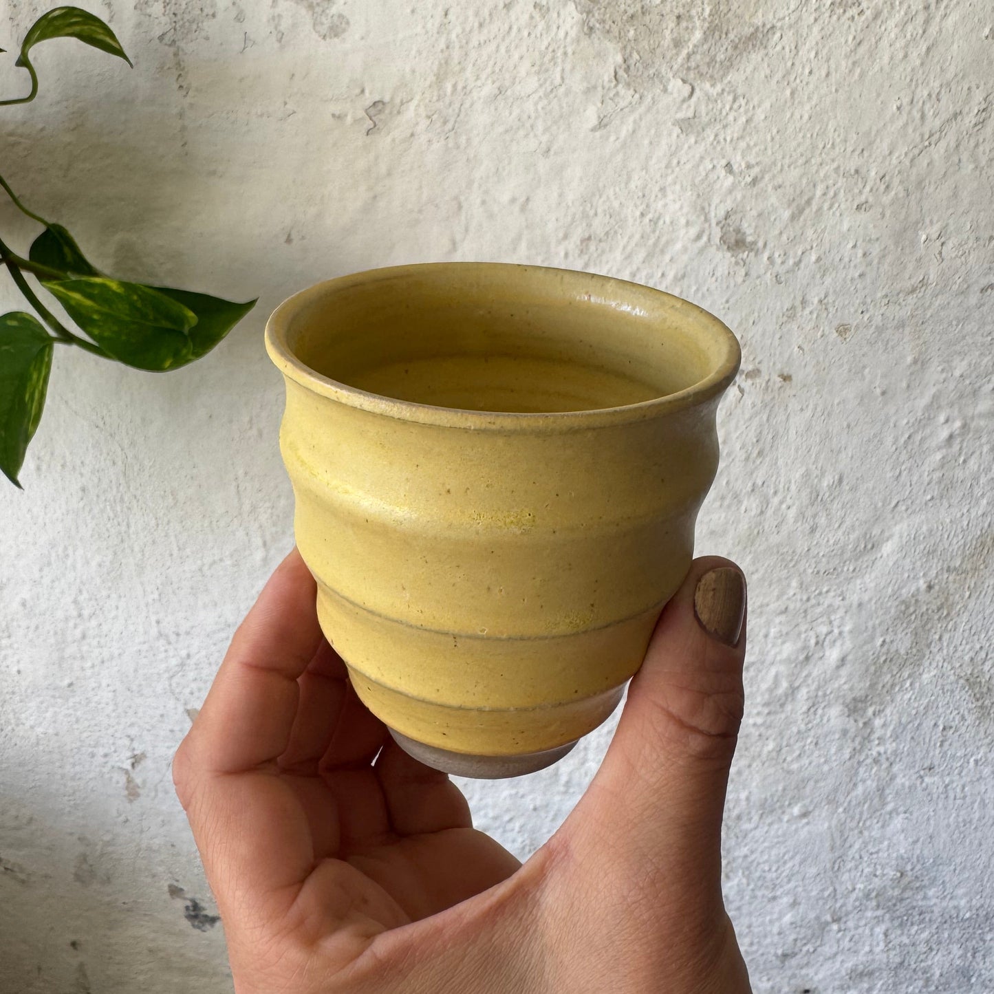 Ripple cup