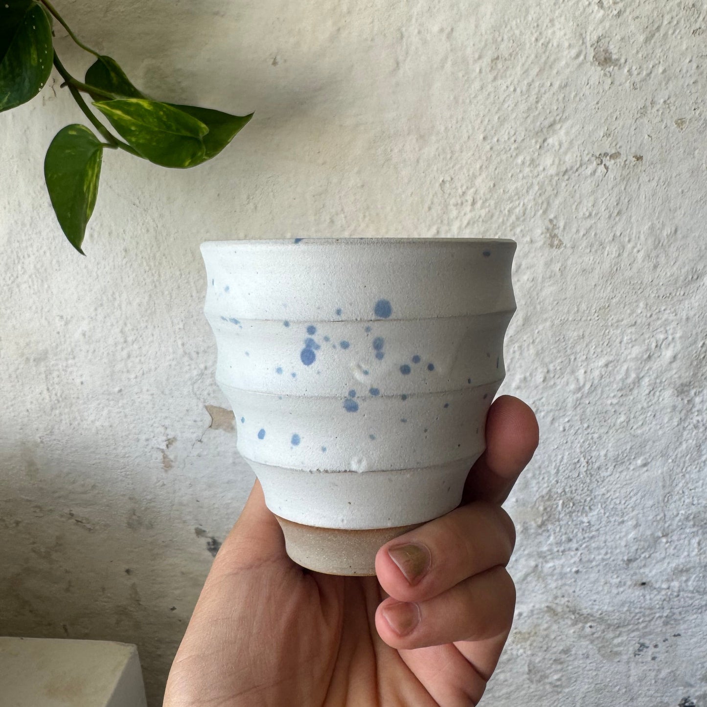 Ripple cup